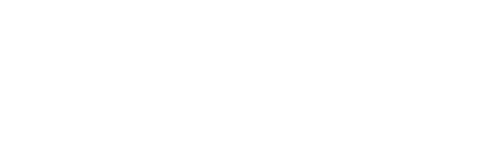 leadership council